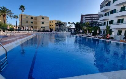 Swimming pool of Flat for sale in San Bartolomé de Tirajana  with Terrace, Swimming Pool and Furnished