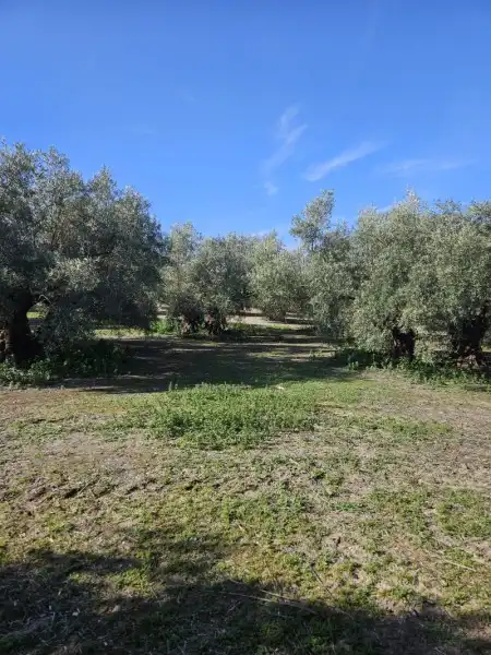 Residencial en venda en Navas del Sepillar