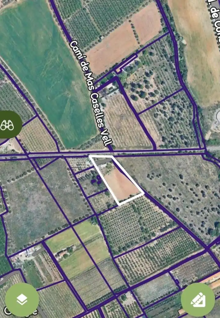 Finca rústica en venta en Constantí