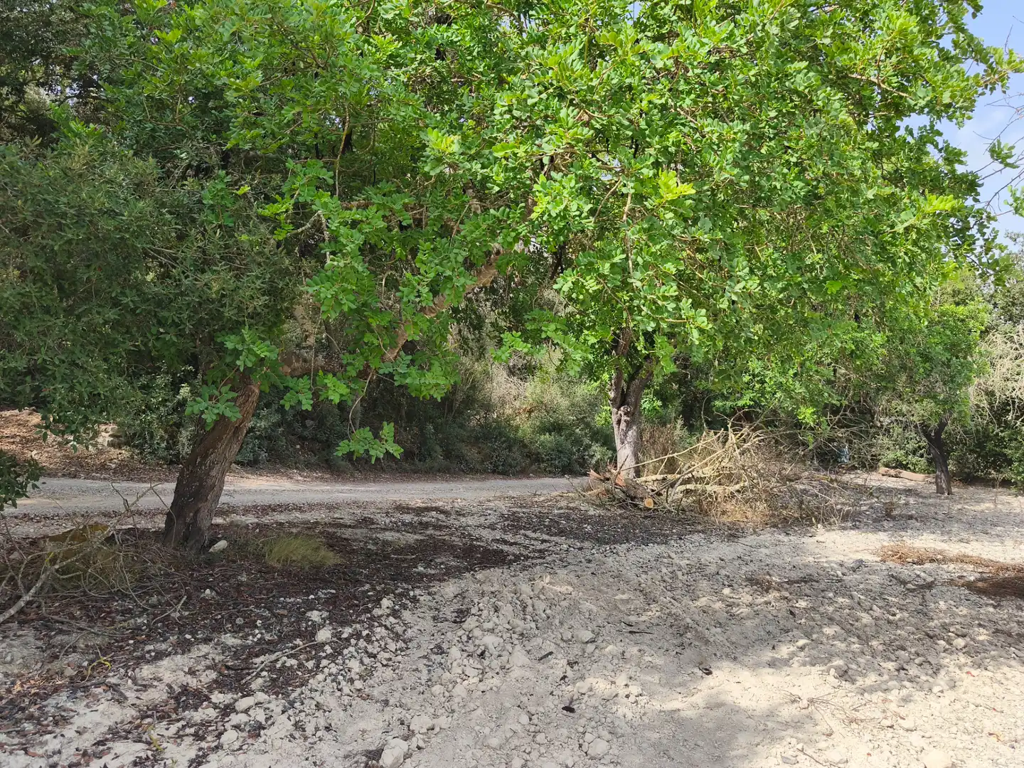 Terreno rustico in vendita a Sant Joan, imagen 11