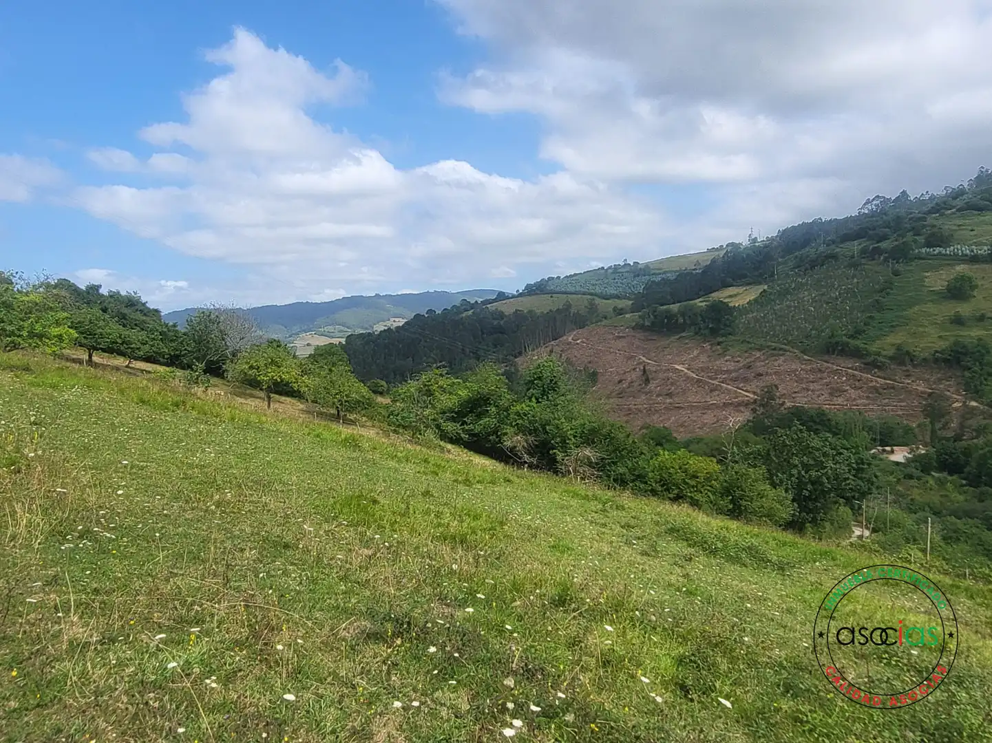 Terreny en venda en Villaviciosa