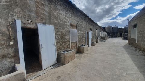 GRANJA DE CERDOS EN, FRONTINA , GUADIX, image 5