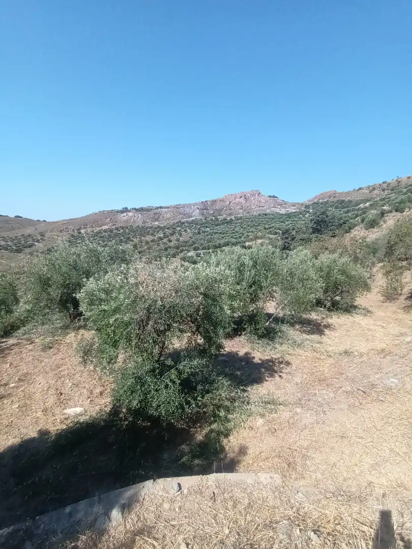Terreno en venta en Paterna del Río