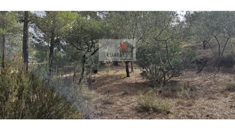 Foto 4 de Residencial en venda a N/a, Rotglà i Corbera, Valencia