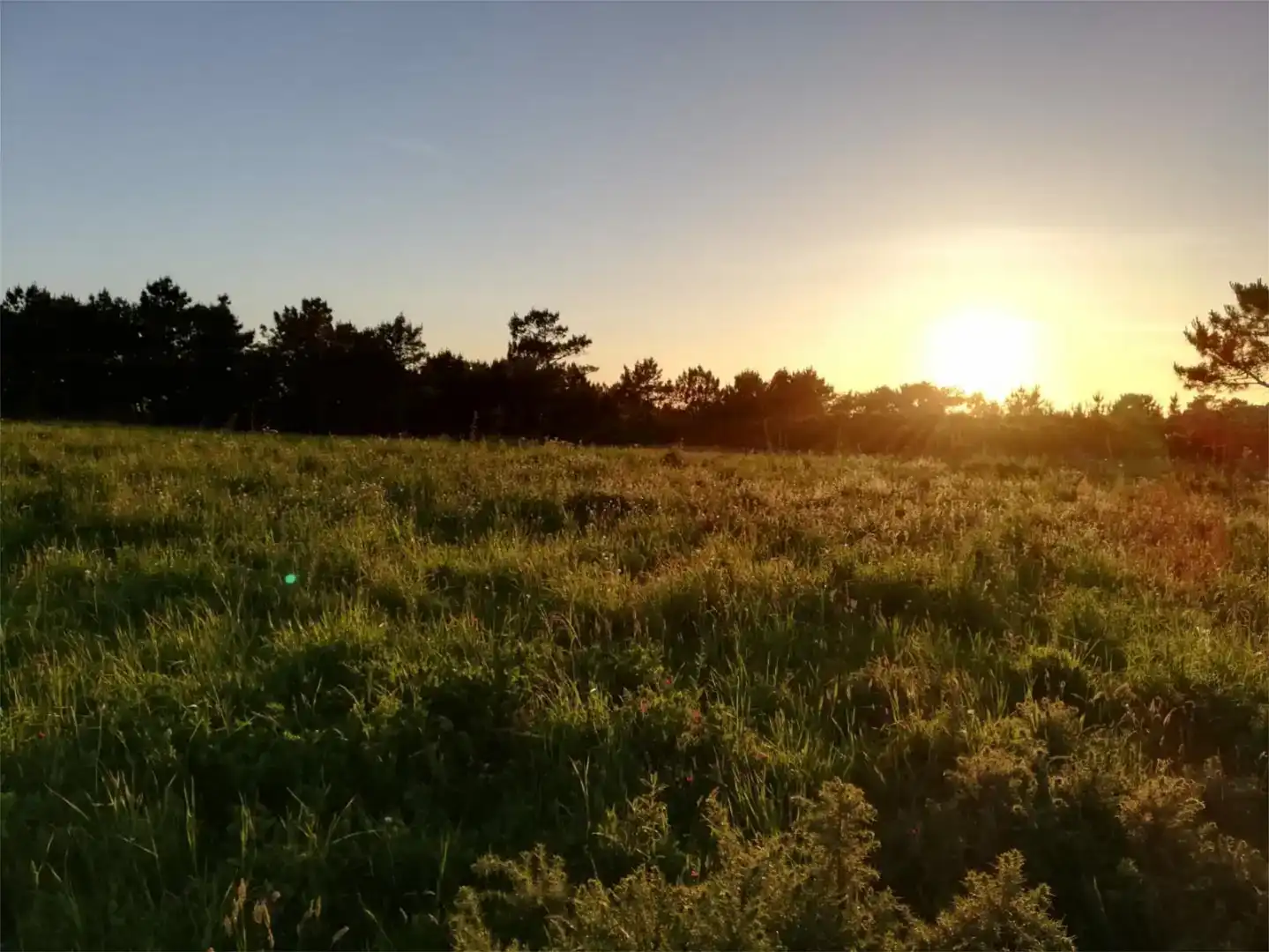 Finca rústica en venda en Tordoia