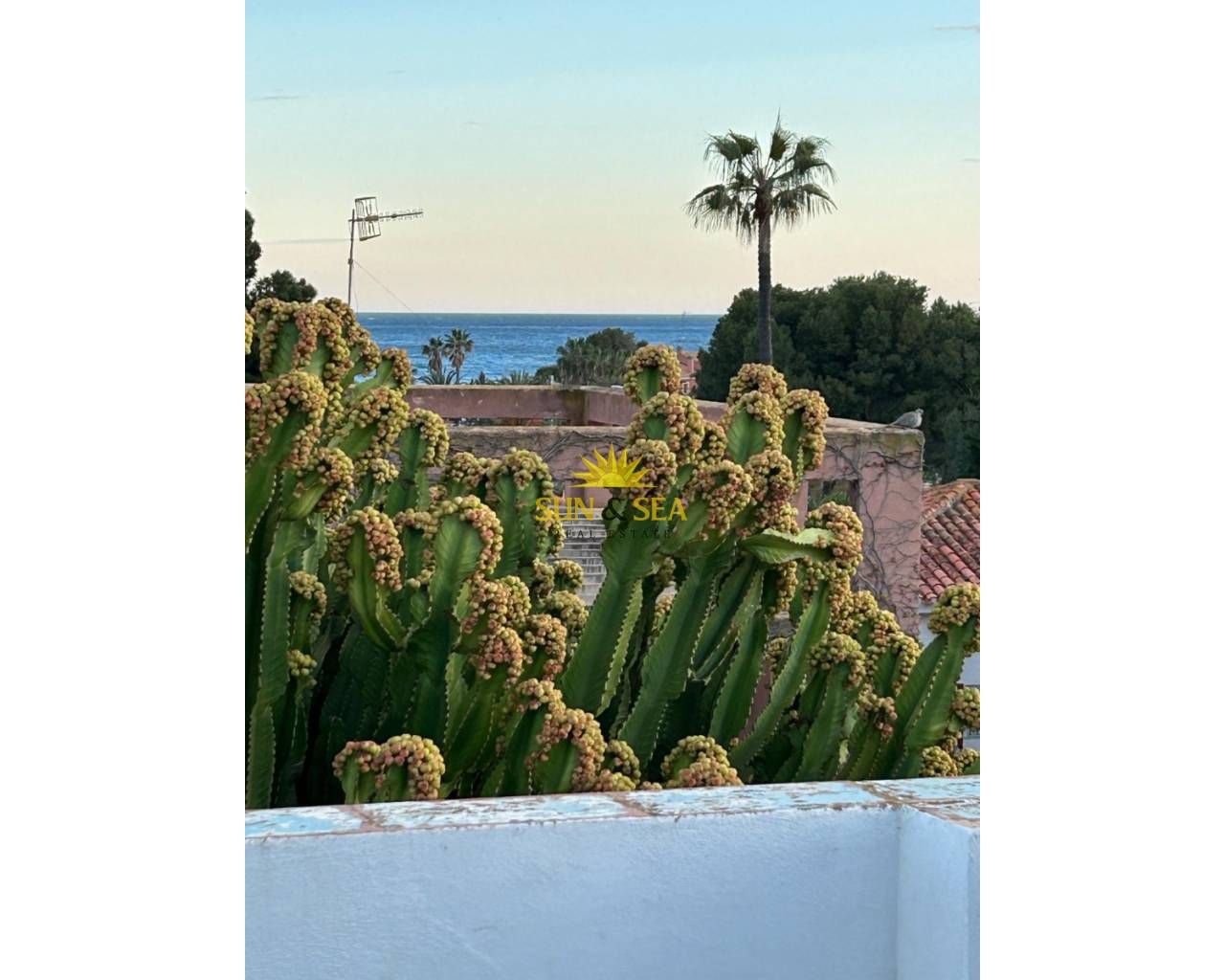 Garden of Attic to rent in El Campello  with Air Conditioner, Heating and Terrace