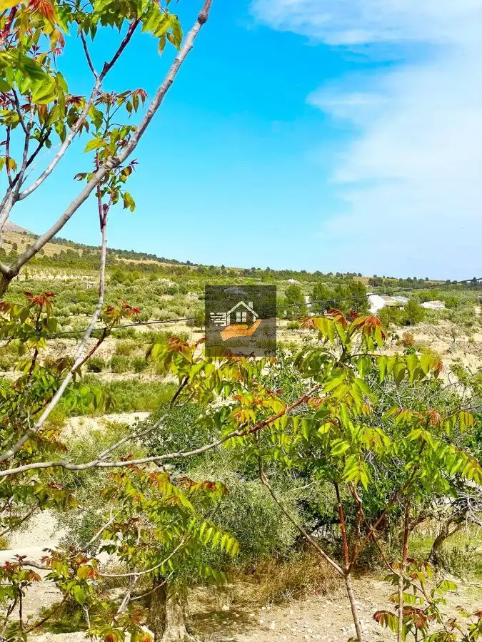Finca rústica en venda en Vélez-Blanco amb Terrassa i Traster