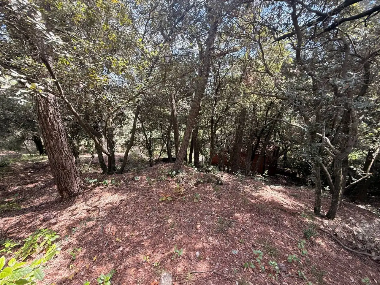 Terreno residenziale in vendita a Calle Fuente de la Pola, imagen 20