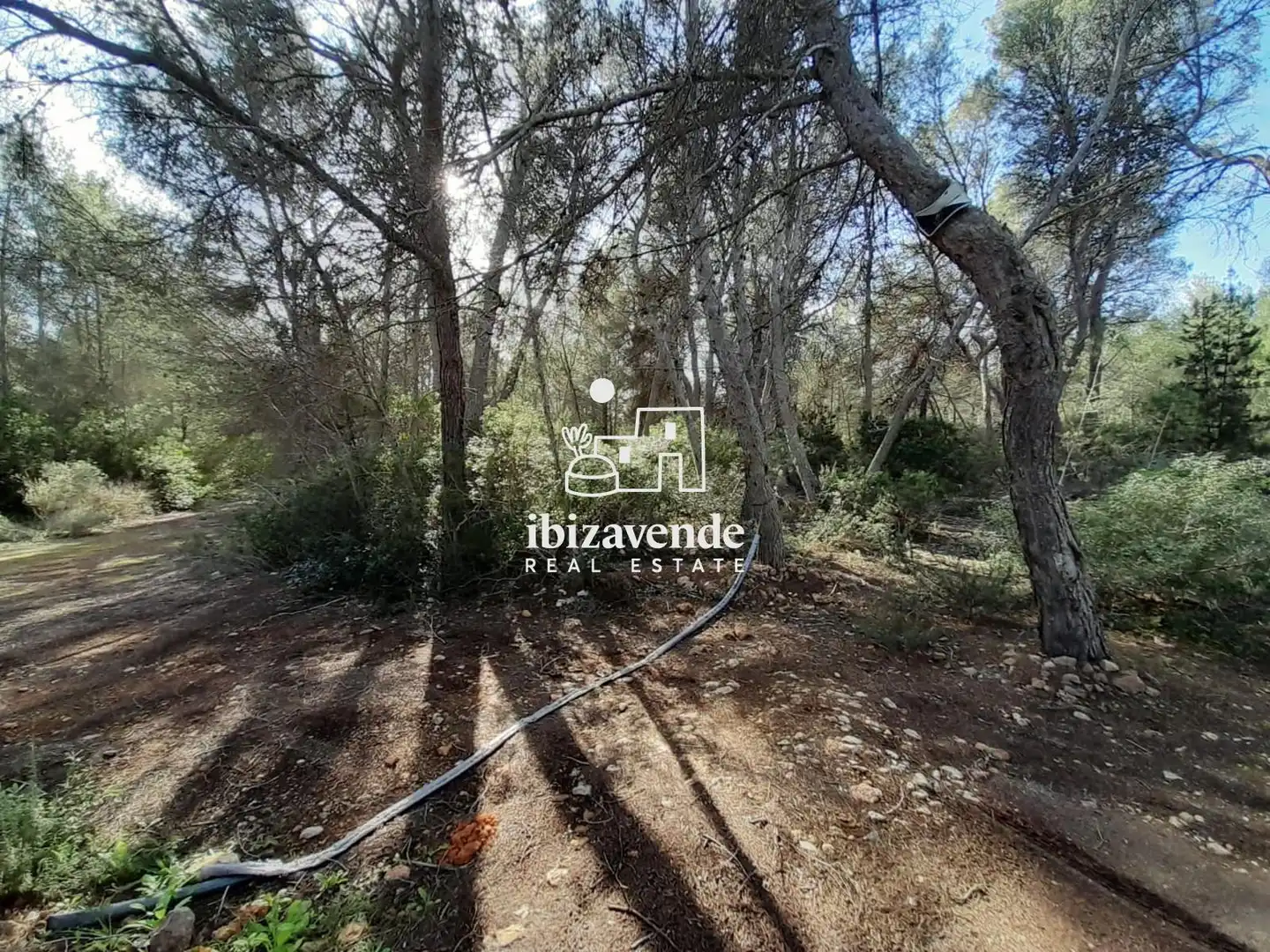Residential land for sale in Sant Joan de Labritja, imagen 11