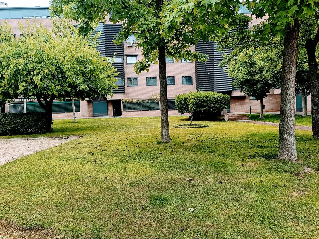 Vista exterior de Pis de lloguer en Pinto amb Aire condicionat, Calefacció i Terrassa