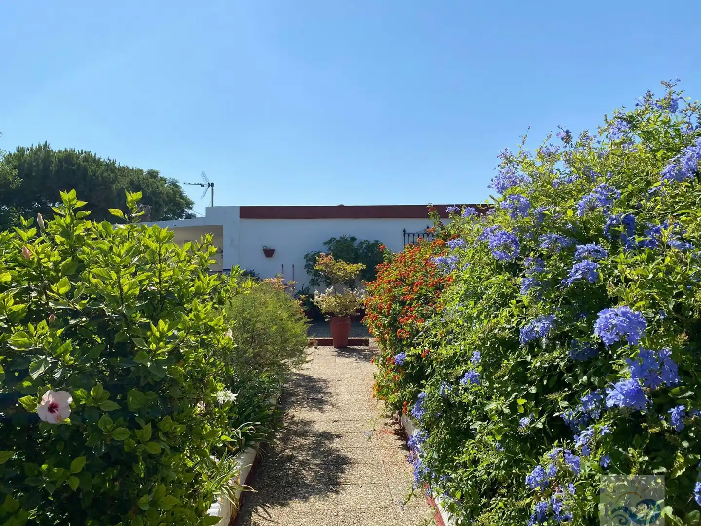 Country house zum Verkauf in El Almedral