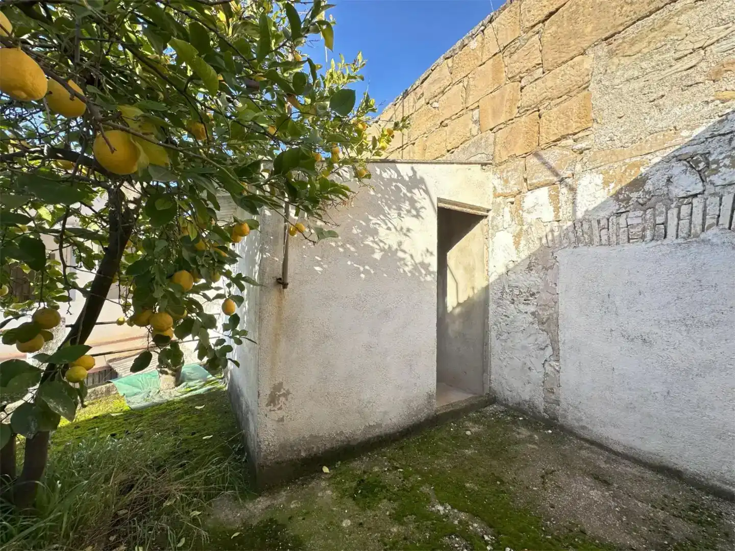 Vista exterior de Casa adosada en venda en Mengíbar amb Balcó