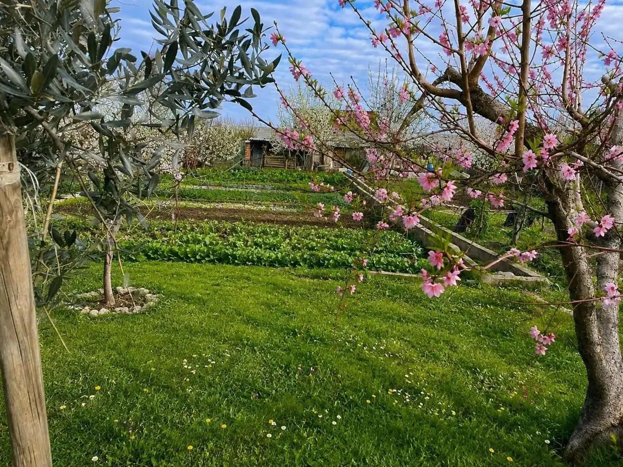 Casa rústica con piscina en venta en Camino la Casilla, imagen 8