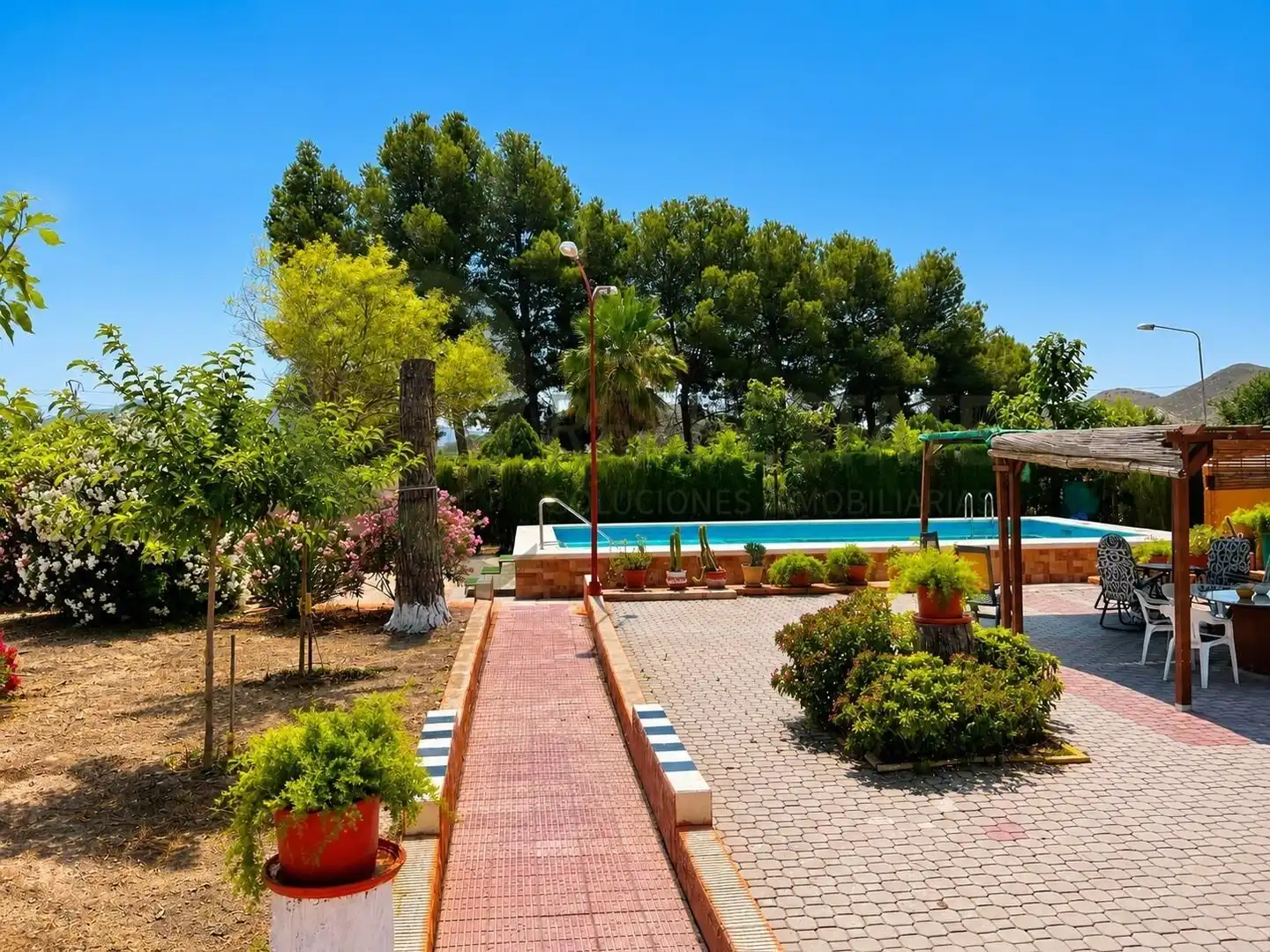 Piscina de Casa o chalet en venta en Villena con Jardín privado, Piscina y Amueblado