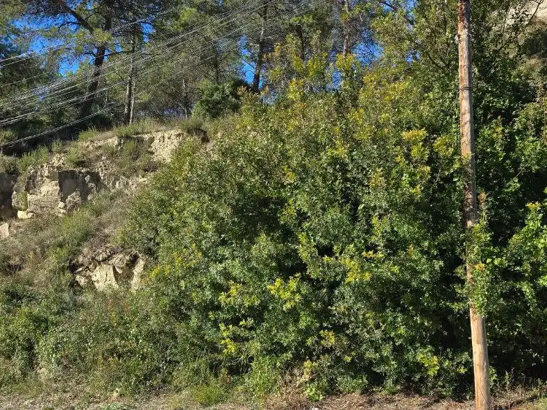 Wohnbaugrundstück zum Verkauf in calle l'anoia 3, imagen 4