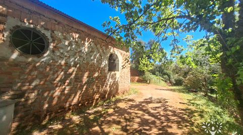 Foto 3 de Terreny en venda a Camino de la Ermita, 18, Las Navas de la Concepción, Sevilla