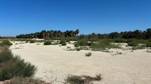 Foto 3 de Terreny en venda a La Foia - Daimés - Asprella, Elche / Elx