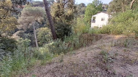 Photo 2 of Residential for sale in Can Massuet del Far, Dosrius