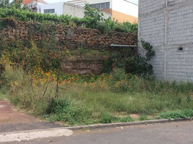 Terreno residencial en Venta en Calle Tosca la Iglesia, 3 en Santa Úrsula pueblo