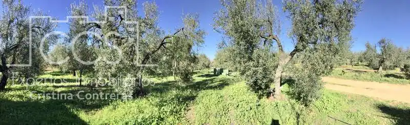 Finca rústica en venta en Pilas con Aire acondicionado, Terraza y Trastero