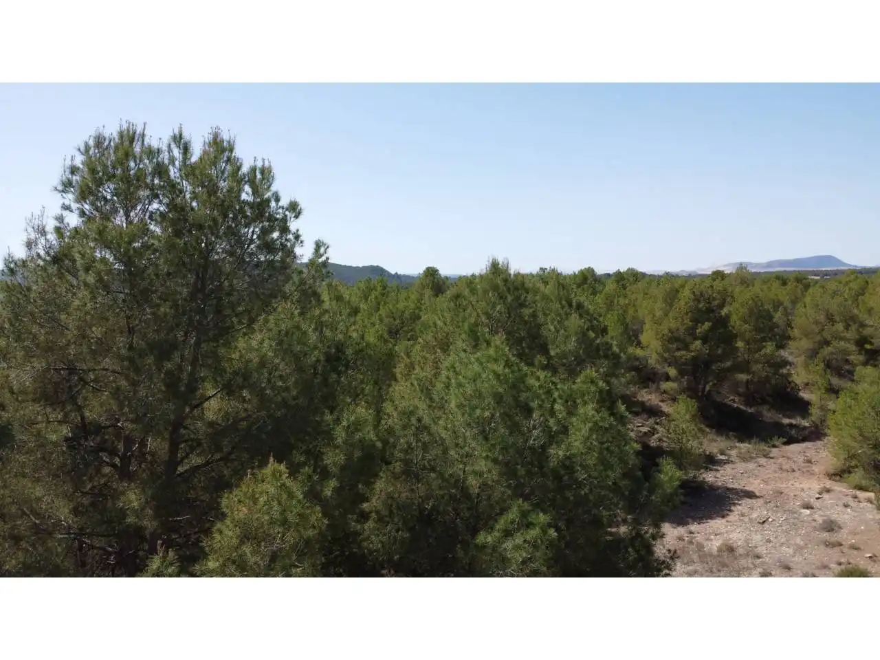 Terreno rustico in vendita a Carretera Llano de Béjar, imagen 20