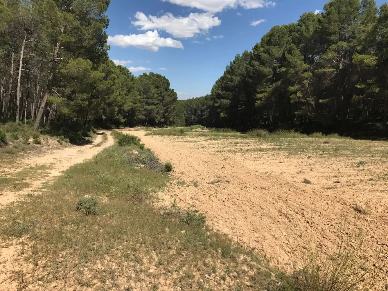Terreny rústic en venda a Caravaca de la Cruz, imagen 3