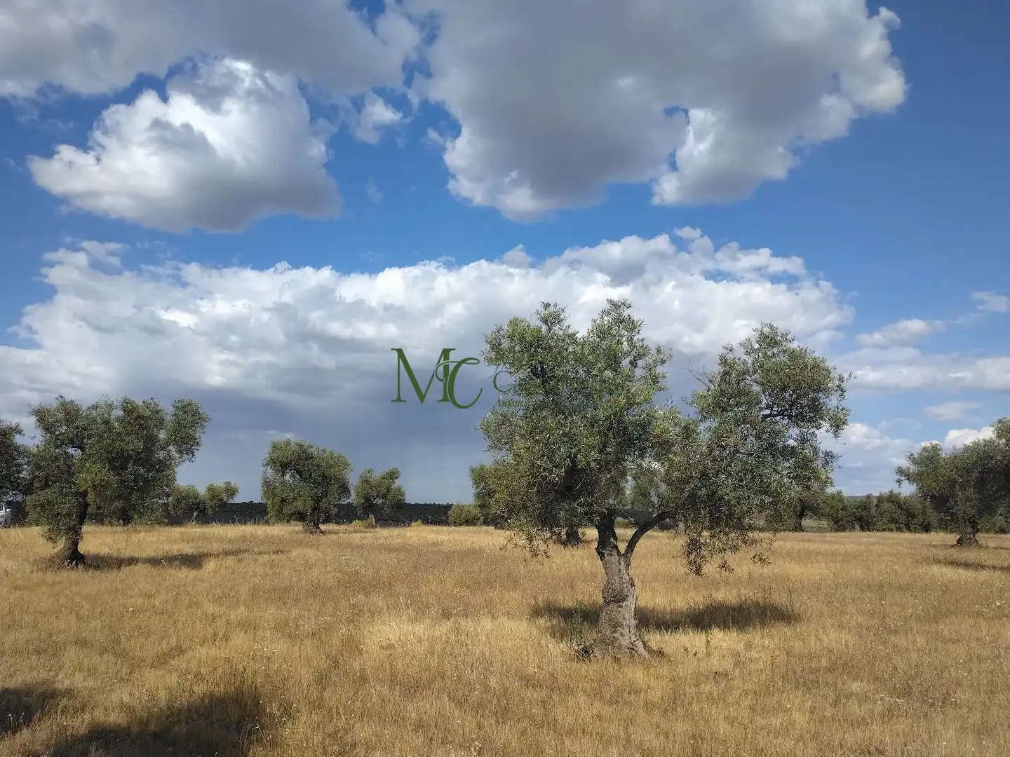 Grundstücke und Bauplätze zum Verkauf in Guareña, imagen 5