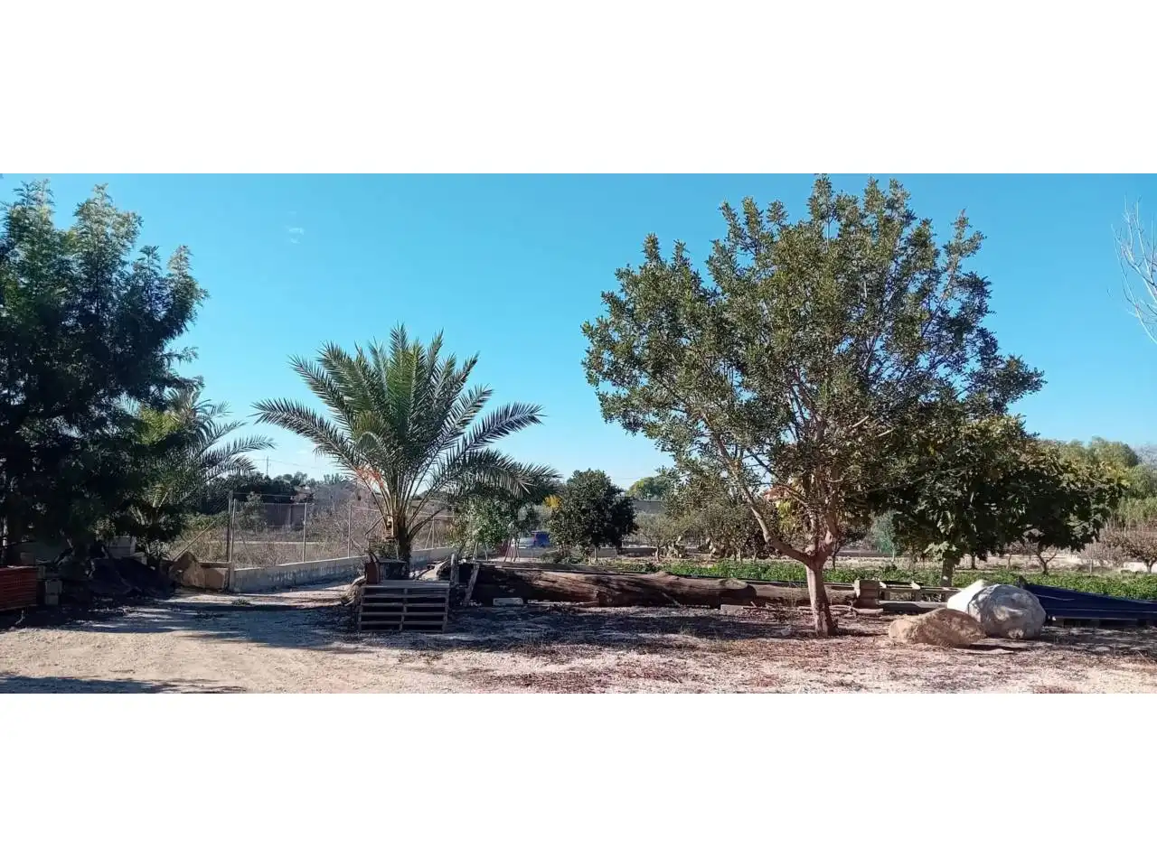 Terreny rústic en venda a Camino Paraje, imagen 3