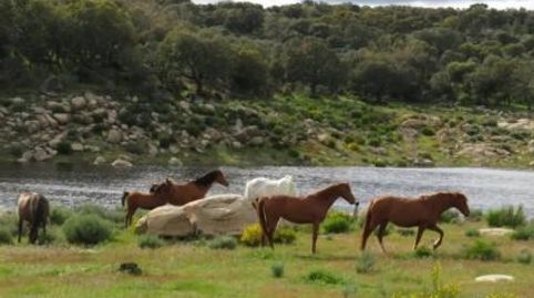 Foto 2 de Finca rústica en venda a Carretera de Ledesma a Fermoselle, Ledesma, Salamanca
