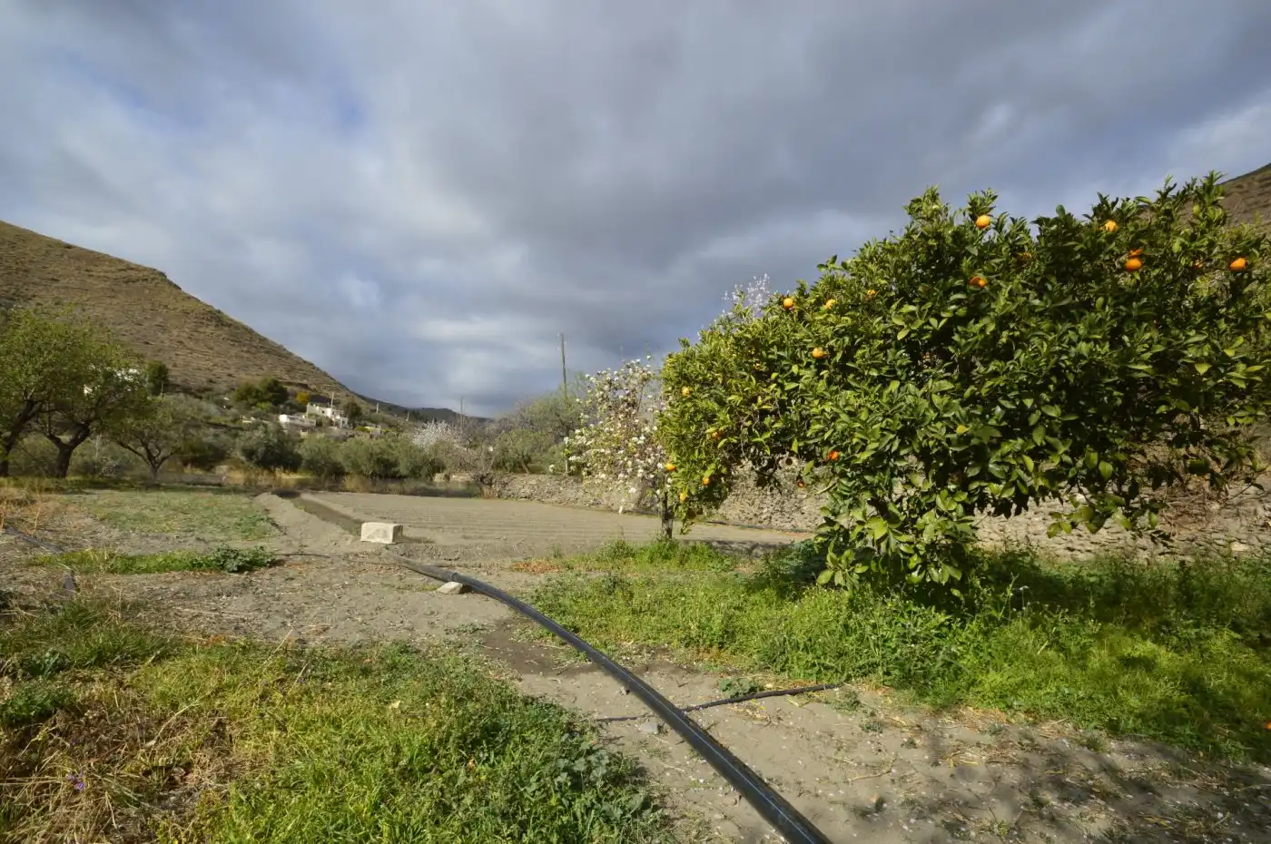 Finca rústica en venta en Gérgal