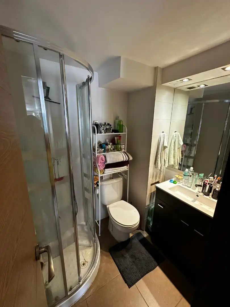 Baño de Dúplex en venta en  Palma de Mallorca con Amueblado y Piscina comunitaria