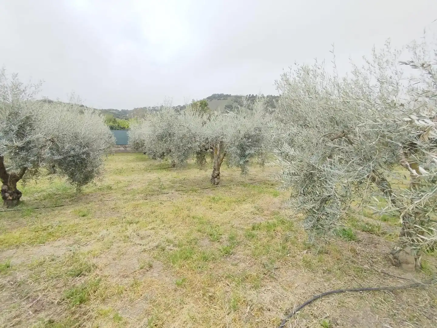 Terreni e lotti in vendita a Carretera Cenes de la Vega, imagen 12