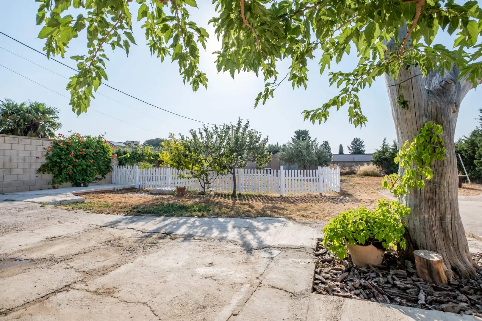 Vista exterior de Finca rústica en venda en Cadrete amb Aire condicionat, Calefacció i Jardí privat