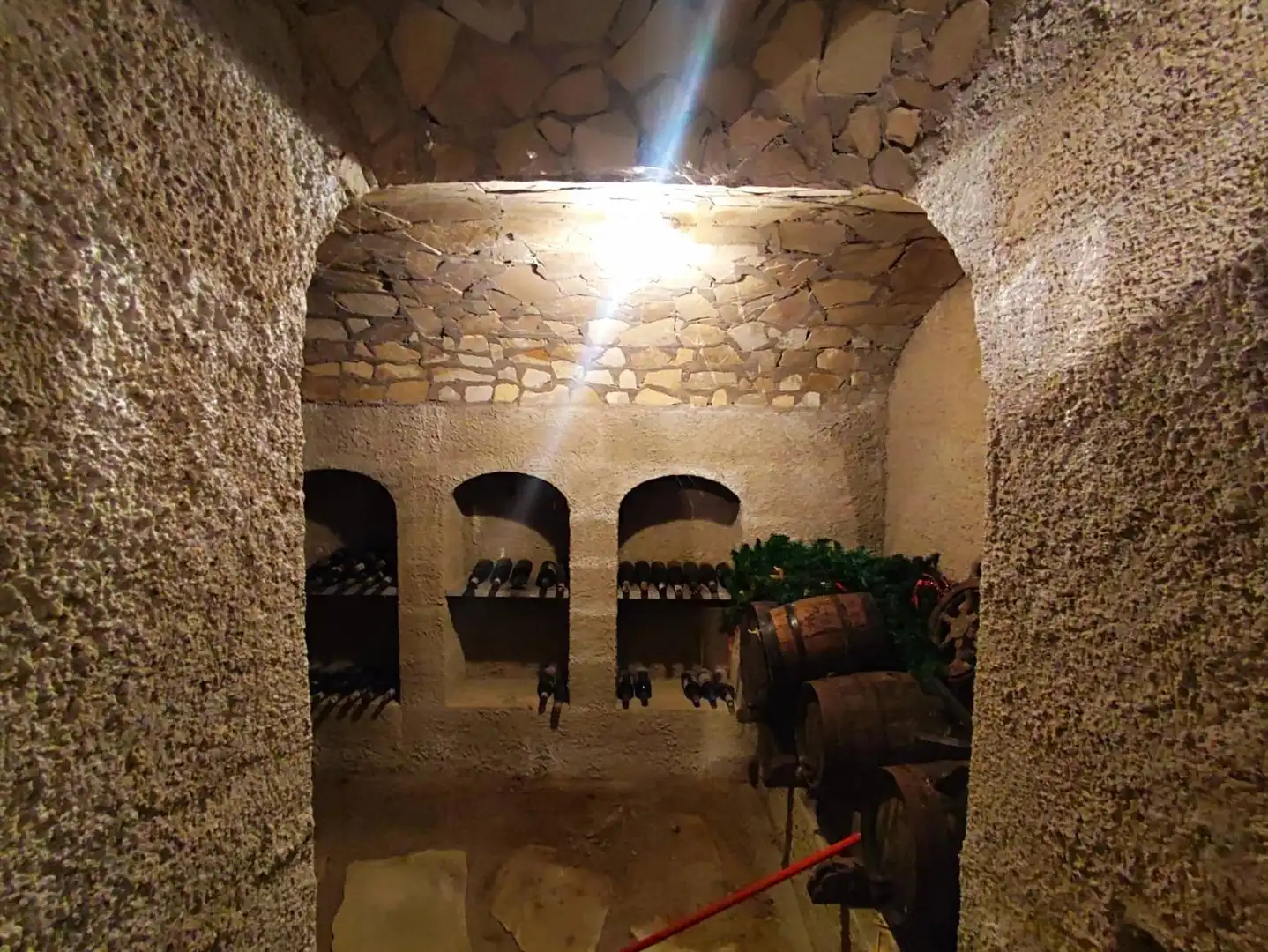 Casa amb jardí en venda a Carrer Carrer Montseny, imagen 38