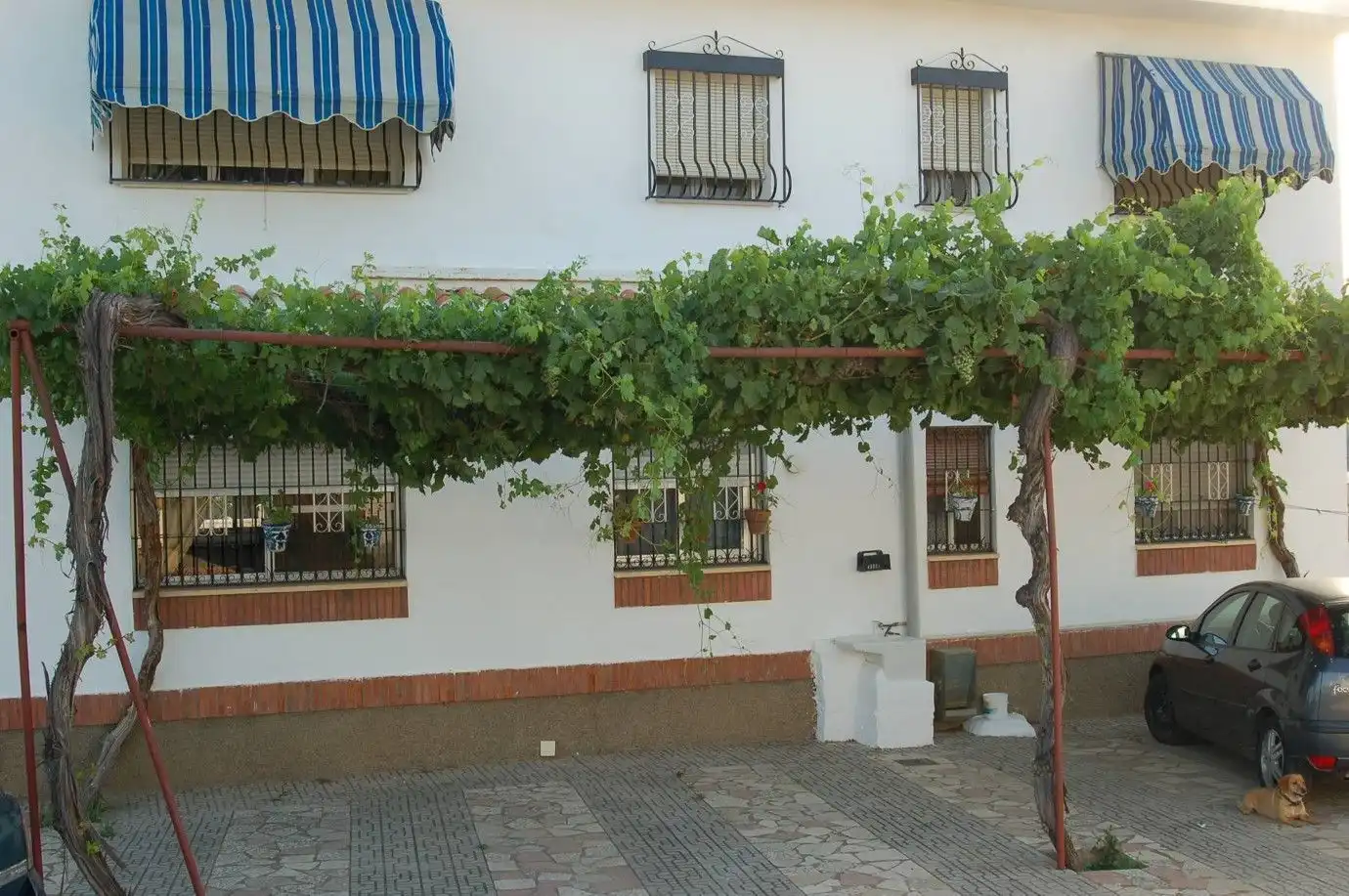 Jardín de Casa o chalet en venta en Guadix con Aire acondicionado, Calefacción y Jardín privado
