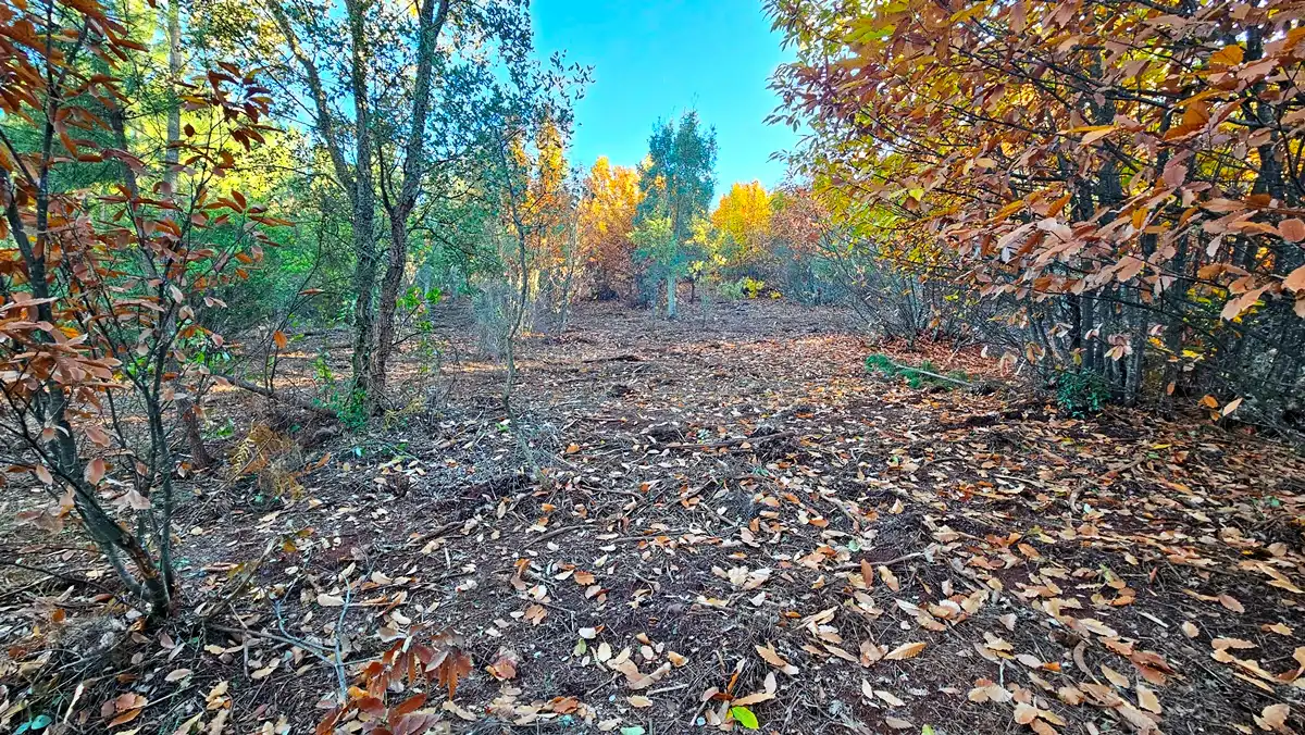 Terreni e lotti in vendita a Galaroza, imagen 5