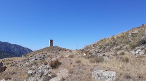TERRENO RUSTICO A LA VENTA EN DILAR GRANADA, immagine 2
