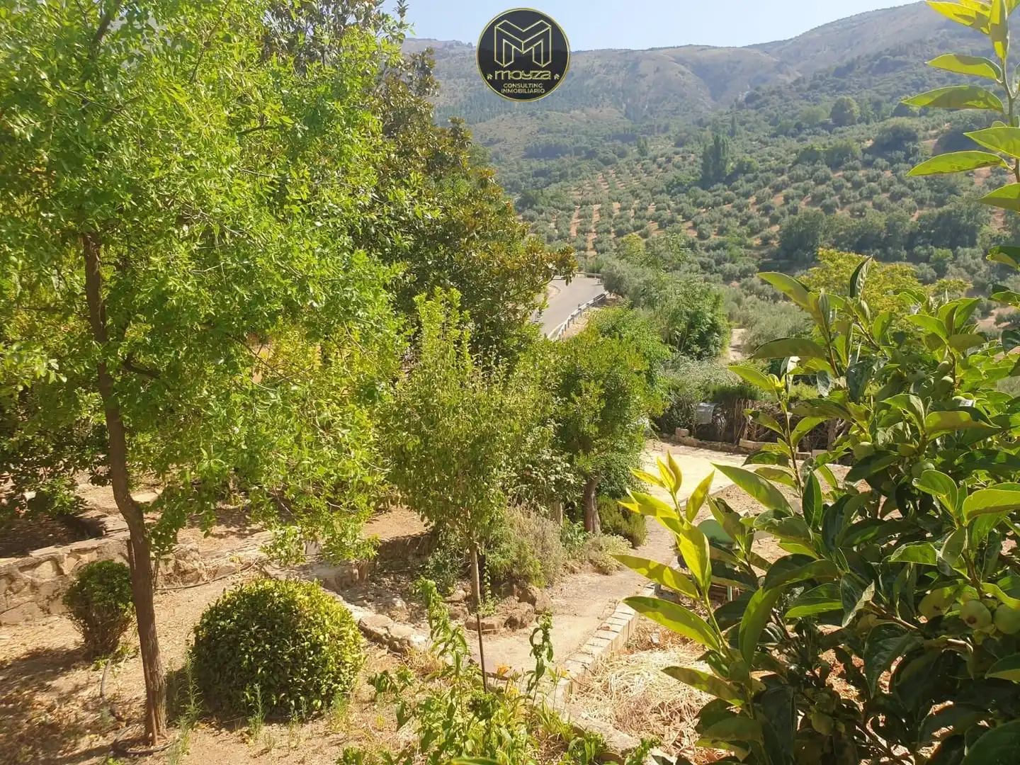 Jardí de Casa o xalet en venda en Andújar amb Aire condicionat, Calefacció i Piscina