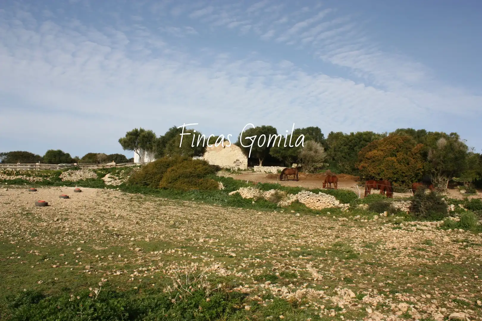Finca rústica en venda en Alaior