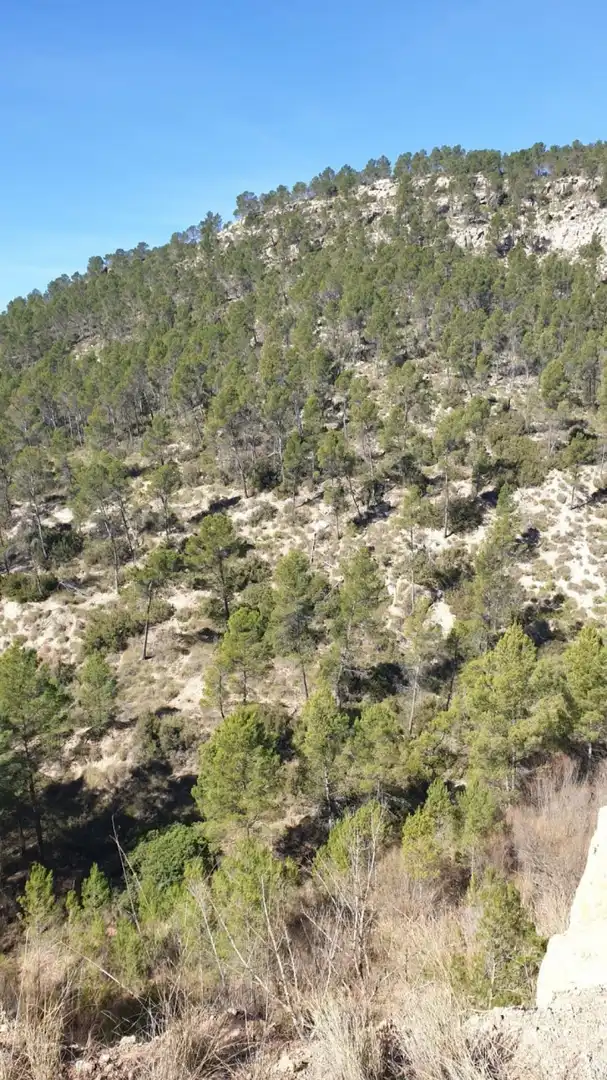Terrain résidentiel à vendre à Requena, imagen 20