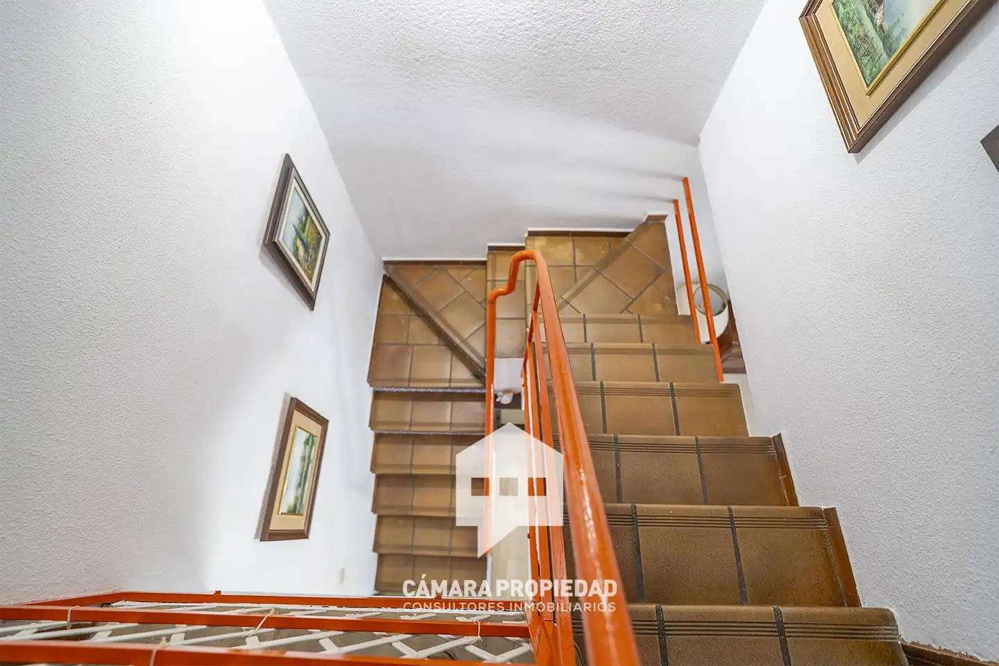 Duplex avec terrasse à vendre à Avenida Alcalde Federico Molina Orta, imagen 20