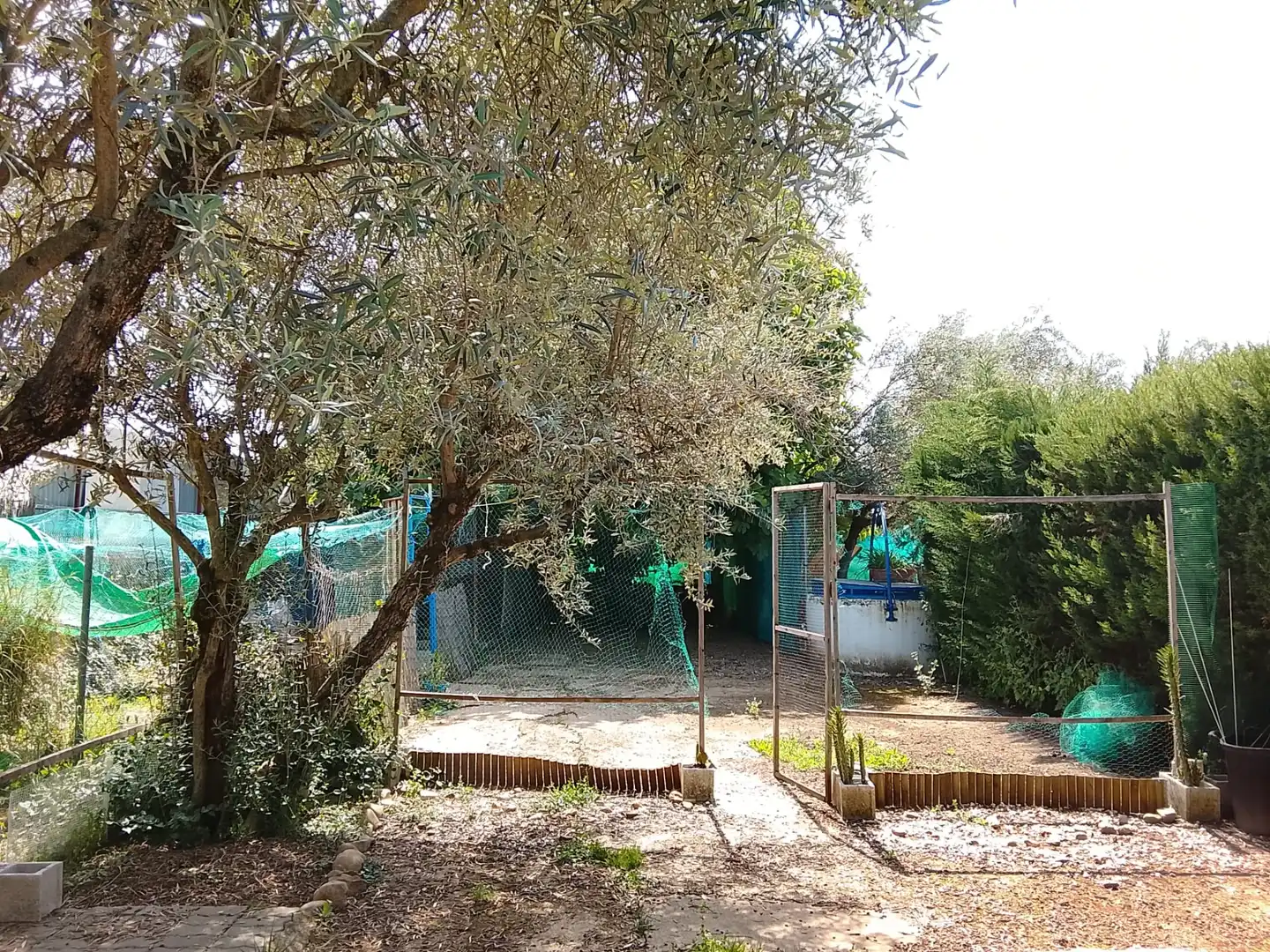 Garden of Houses for sale in Córdoba  with Air Conditioner, Private garden and Terrace