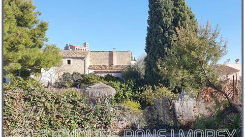 Casa en venta en Selva, immagine 3