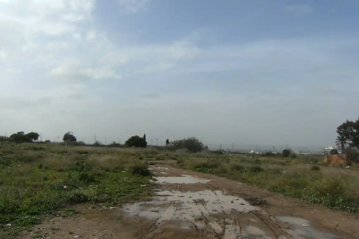 Terreny rústic en venda a FINCA GRANJA ORDOÑO, imagen 12