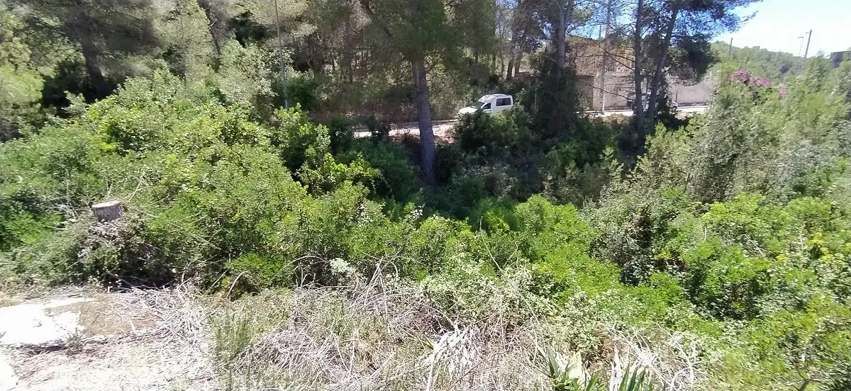Residential land for sale in Carrer Violeta, imagen 5