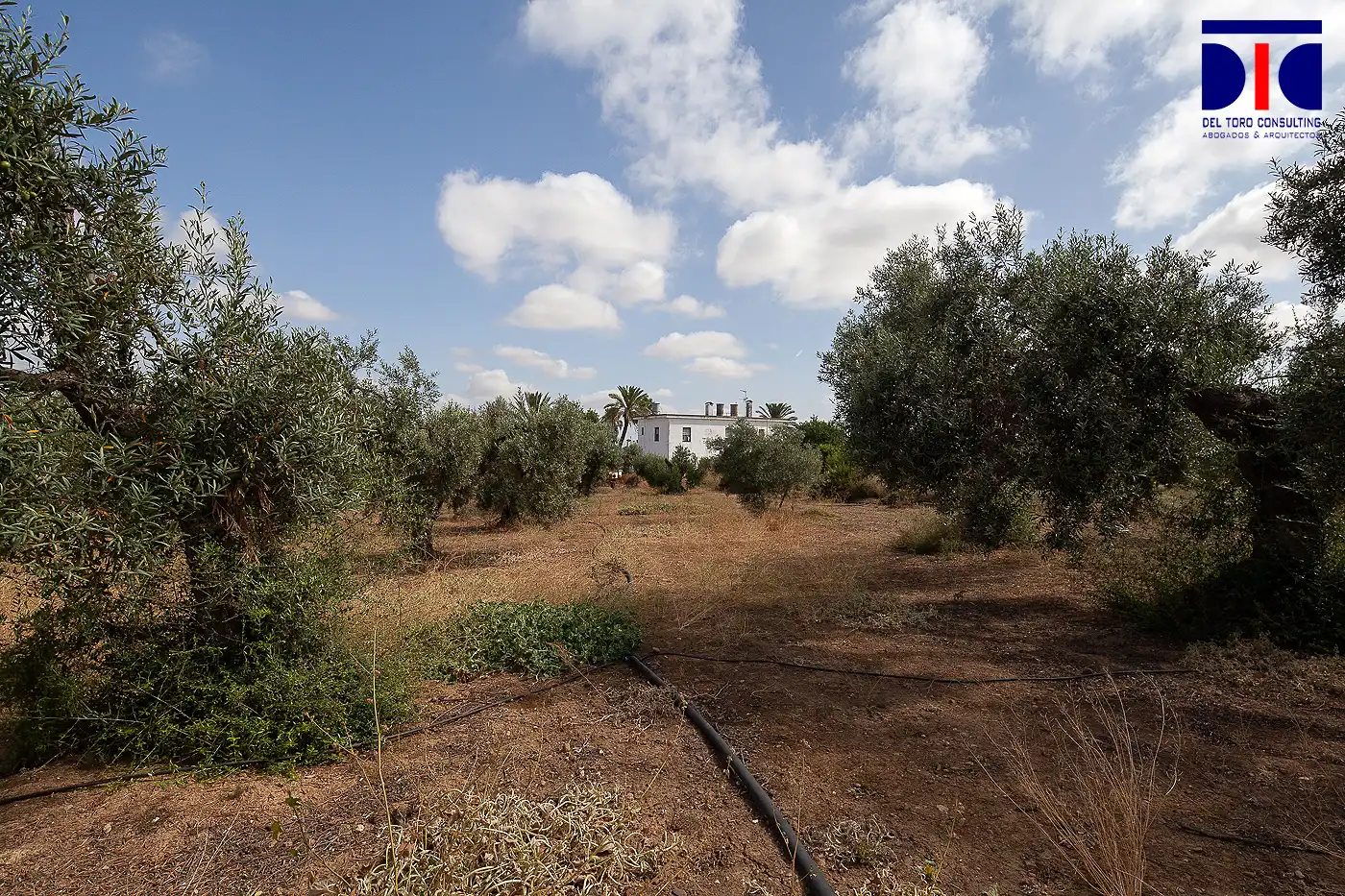 Finca rústica en venta en Carmona con Jardín privado, Terraza y Piscina