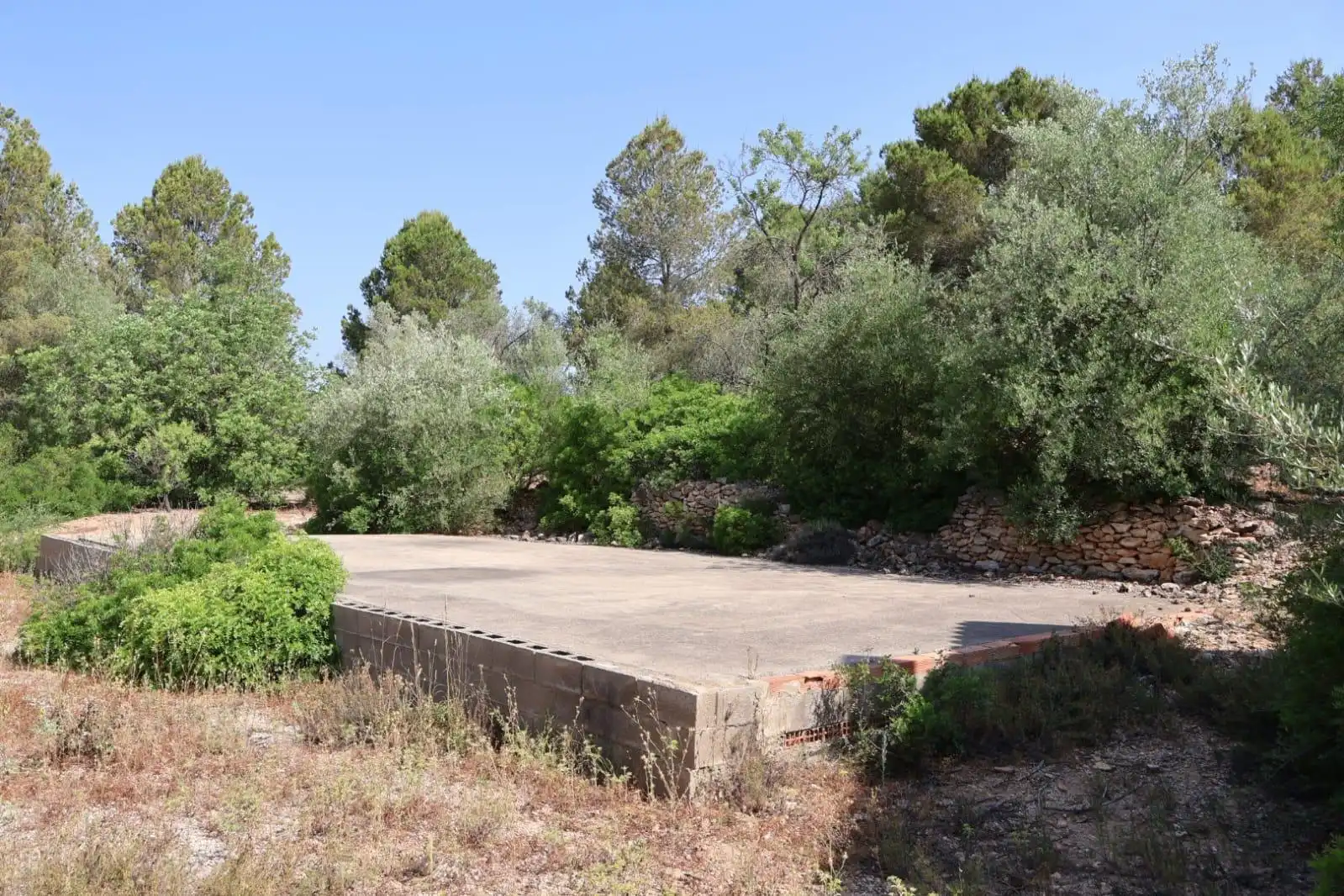 Finca rústica en venda a Vall d'Alba