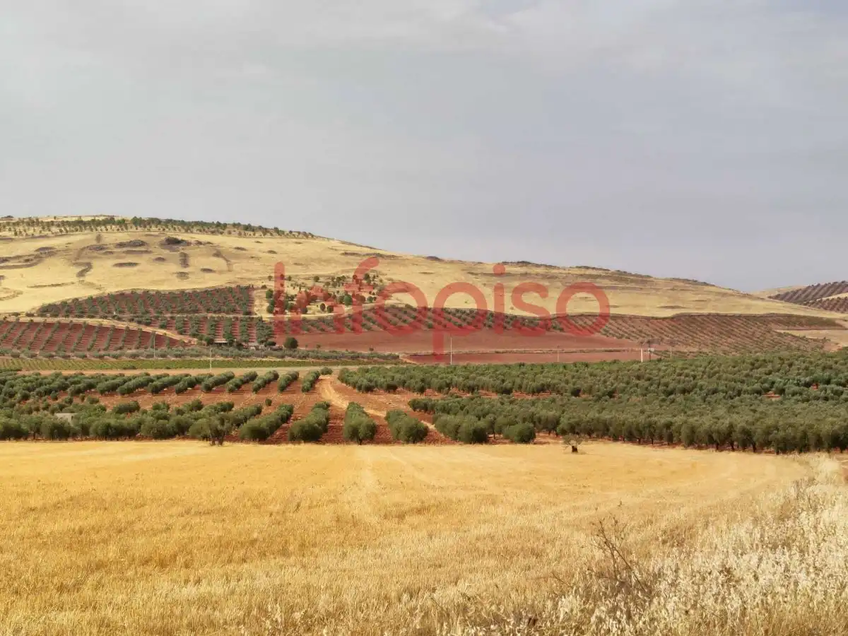 Casa rústica en venda a Valdepeñas, imagen 6