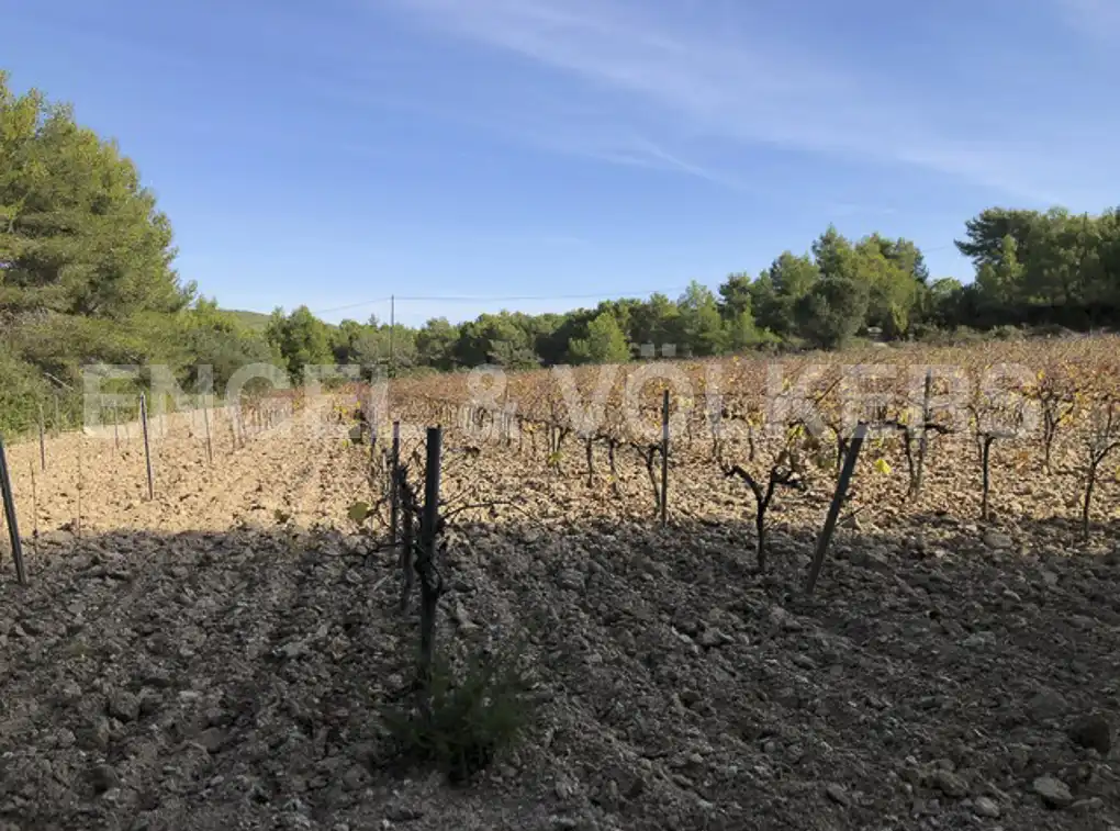 Terreny residencial en venda a Avinyonet del Penedès, imagen 27