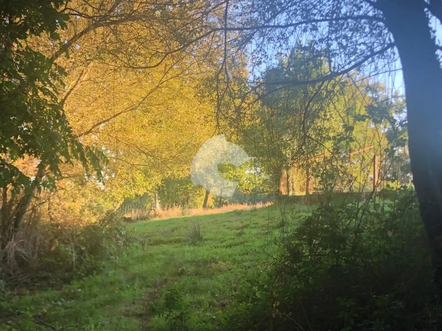 Terreni e lotti in vendita a Nogueira de Ramuín, imagen 41